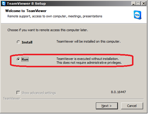 TeamViewer RUN Client 8